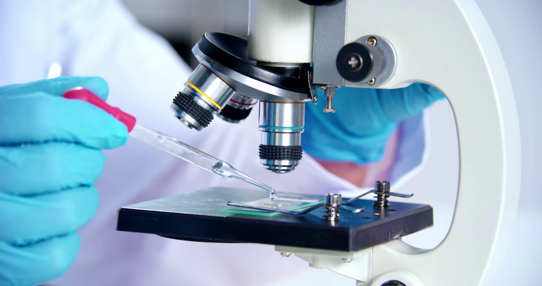 永乐高·70net(中国)有限公司官网-BinG百科